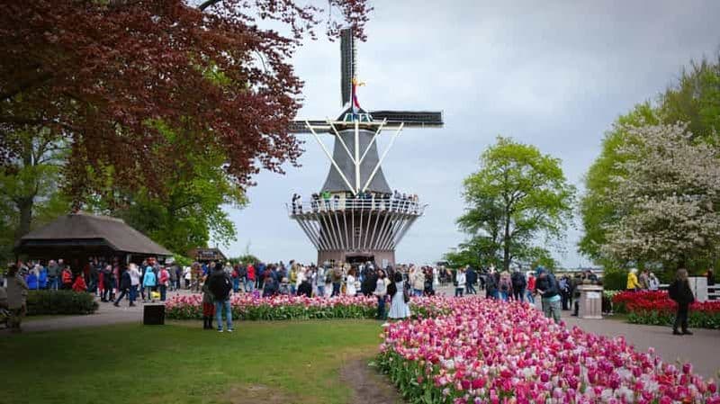 Billet Depuis Amsterdam : Visite VIP des tulipes de Keukenhof avec chauffeur privé