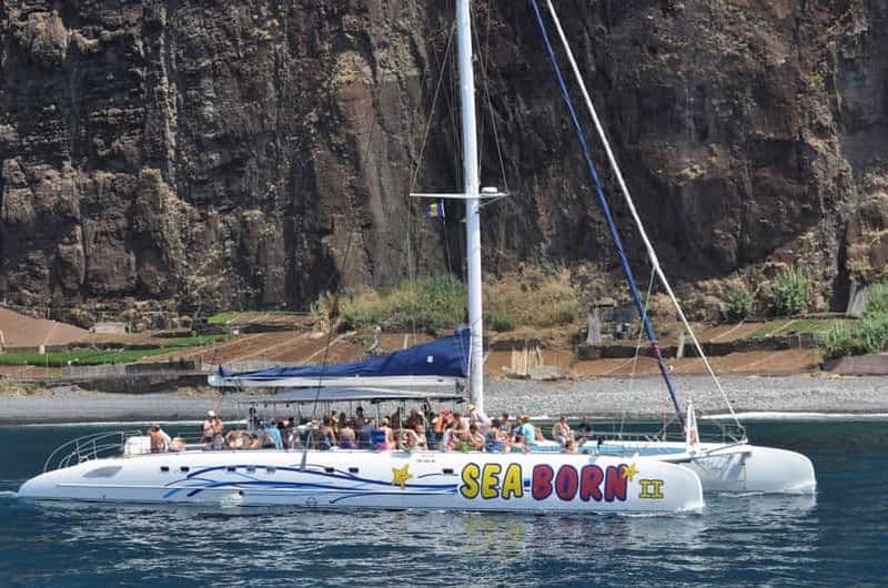 Funchal : Croisière d'observation des baleines et des dauphins en catamaran