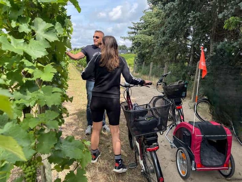 Au départ de Potsdam : excursion en E-bike dans les vignobles