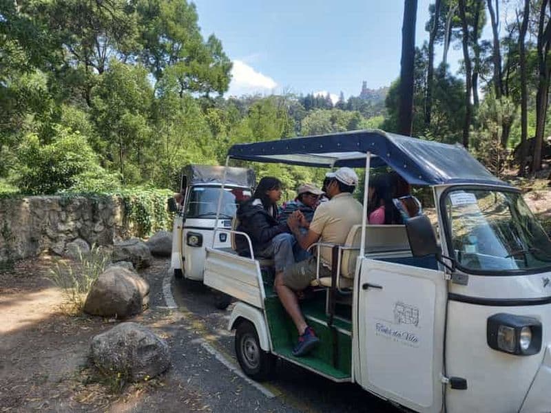 Billet Une journée à Sintra : monuments, gastronomie, vins et plages