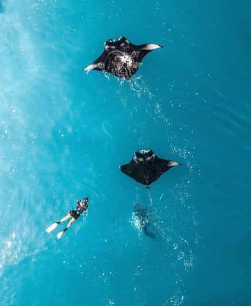 Au départ de Bali : Visite privée de Nusa Penida avec plongée en apnée et visite terrestre