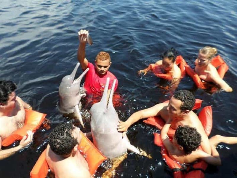 Amazon Safari® Manaus : Excursion d'une journée sur le fleuve Amazone
