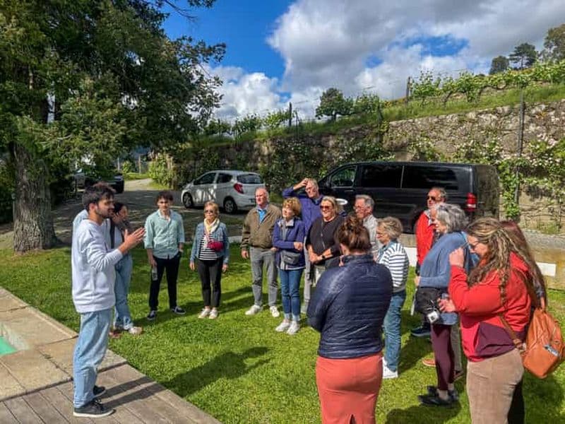 Billet Visite guidée « Fresh Wine » : découvrez le Vinho Verde dans la vallée du Douro