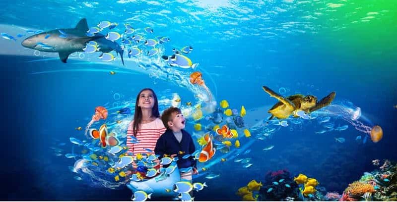 Billet Scheveningen, La Haye : billet d'entrée au Sea Life