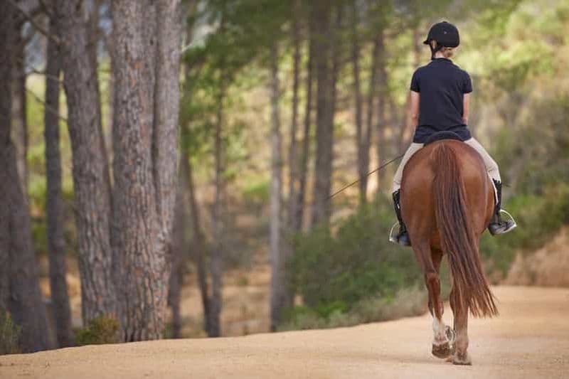 Promenade à cheval à Almodóvar del Río.