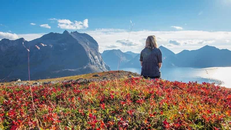 Billet Tromsø : expédition dans les fjords de l'Arctique