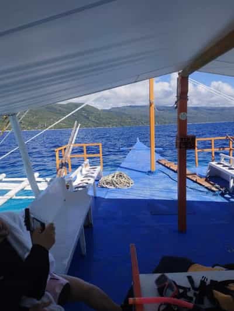 Oslob : Requins-baleines, chutes de Tumalog et aventure Sumilon Trio