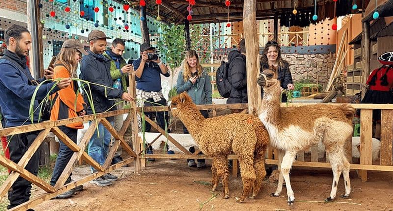 Billet Depuis Cusco : Vallée Sacrée et Mines de Sel de Maras avec Déjeuner