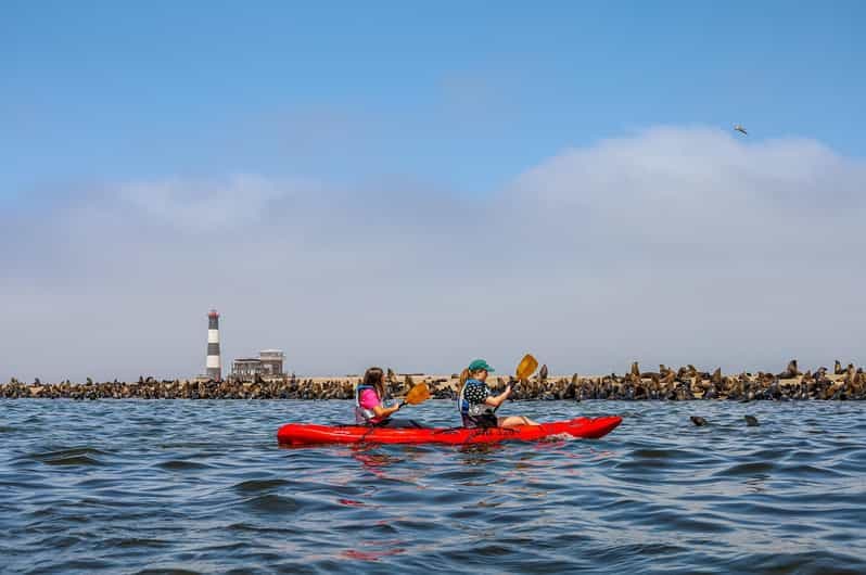Pelican Point : Kayak avec les phoques