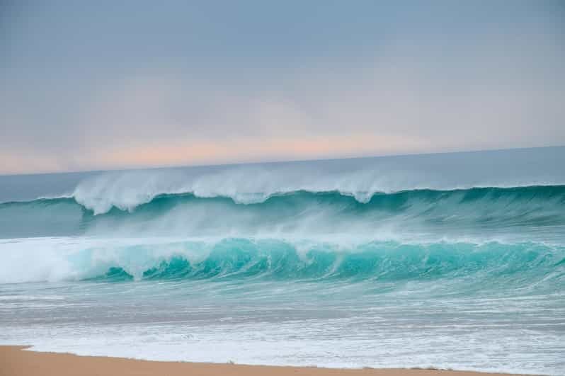 Depuis Evora : Randonnée à cheval sur la plage de comporta