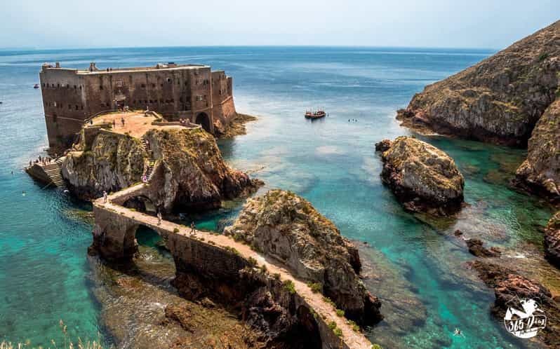 Billet Porto : excursion d'une journée aux îles Berlengas, au château d'Óbidos et à Peniche