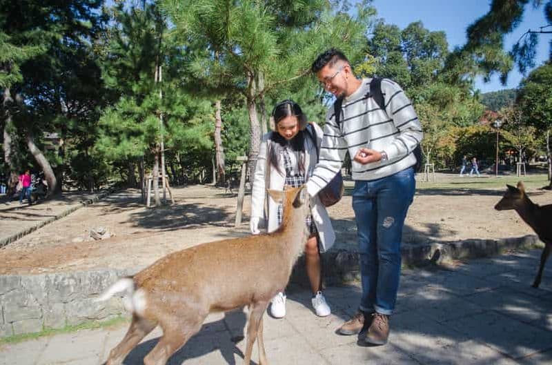 Billet Kobe : excursion privée à pied - Kyoto/Osaka/Nara/Kobe