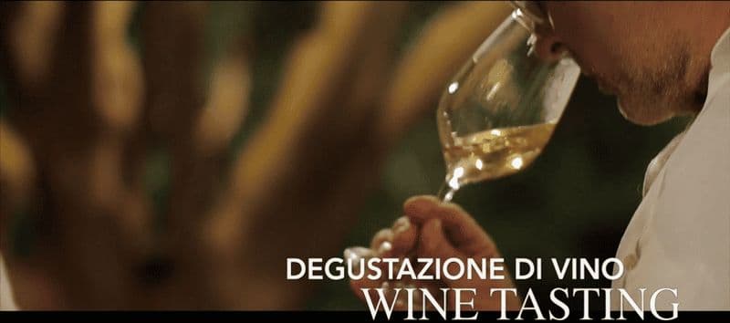 Billet Concerts de sérénades et vins sous un ciel étoilé