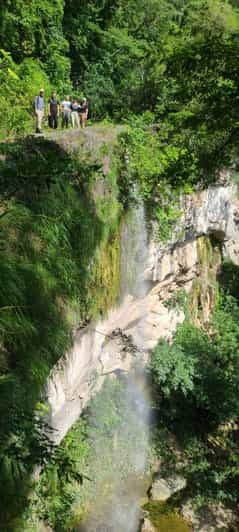 Billet Excursion d'une journée / Parc national d'Amboro (côté nord)