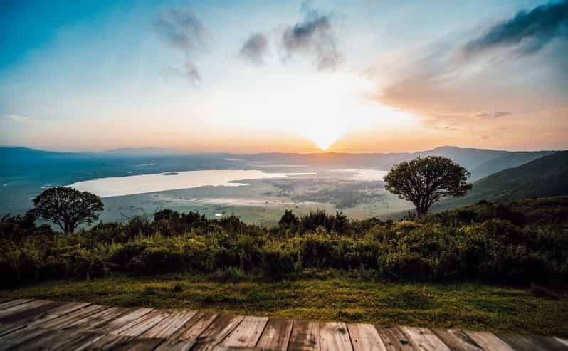Billet 4 jours de safari à la découverte de la nature
