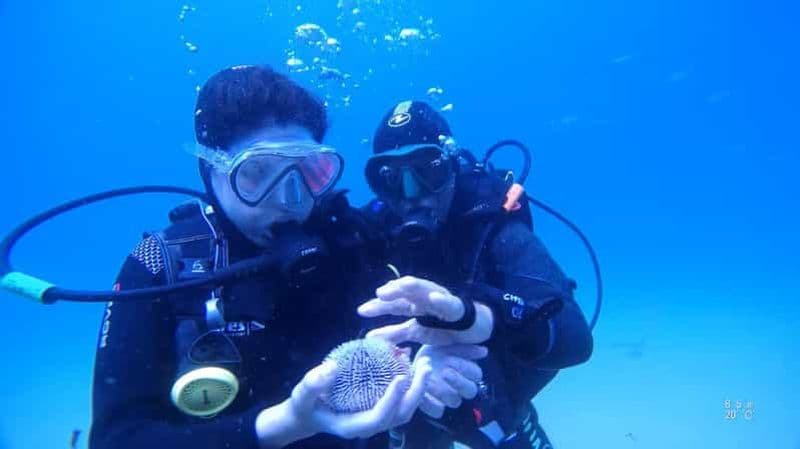 Ma première plongée sous-marine dans l'océan au large de Madère