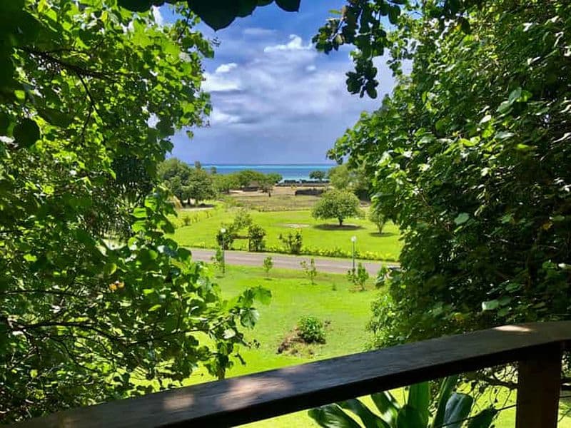 Billet À ne pas manquer : Nature, Culture & Moments Uniques – MirimirI Tours