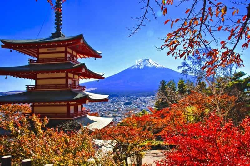 Billet Tokyo : visite du mont Fuji, du lac Kawaguchiko, de la pagode et du parc Oishi