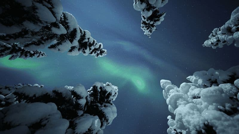 Billet Chasse aux aurores boréales en raquettes, pour adultes uniquement