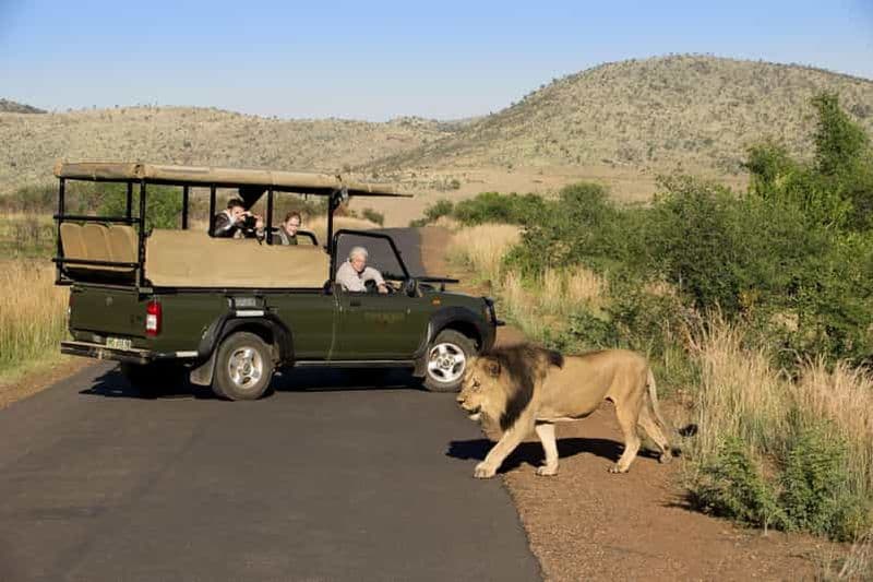 Billet Safari d'une journée complète dans le parc Kruger au départ de Hoedspruit