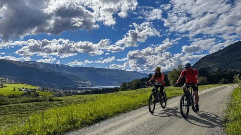 Location de VTT - Full Suspension