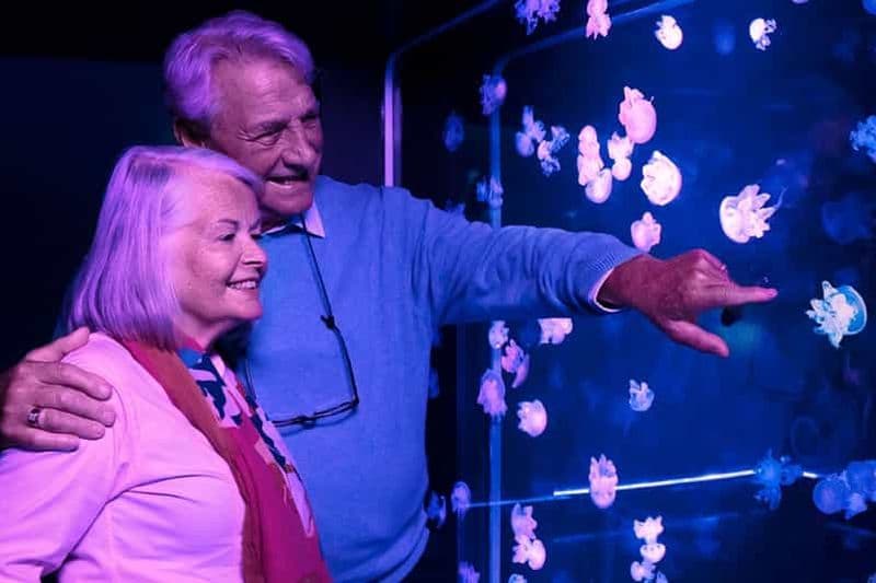 Billet Rêve américain : billet d'entrée à l'aquarium SEA LIFE®