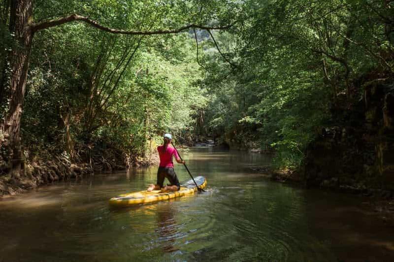 Palomino : Aventure en paddle board sur la rivière Palomino