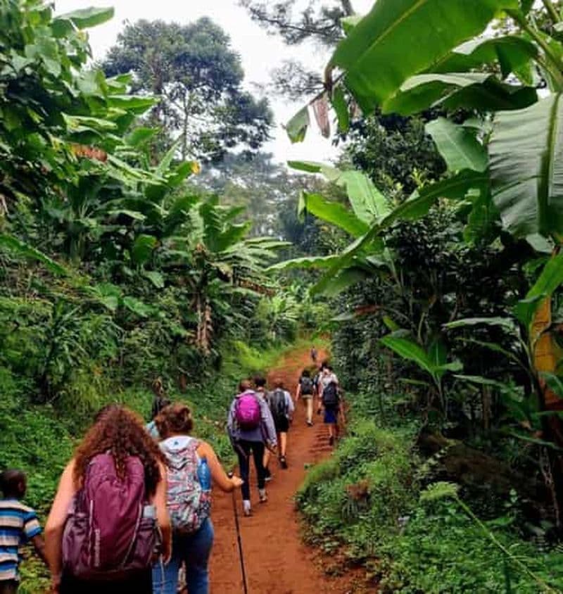 Billet Trekking de 3 jours dans les monts Udzungwa