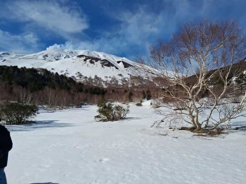 Billet Etna et vin : une expérience entre cratères, paysages volcaniques et saveurs siciliennes.