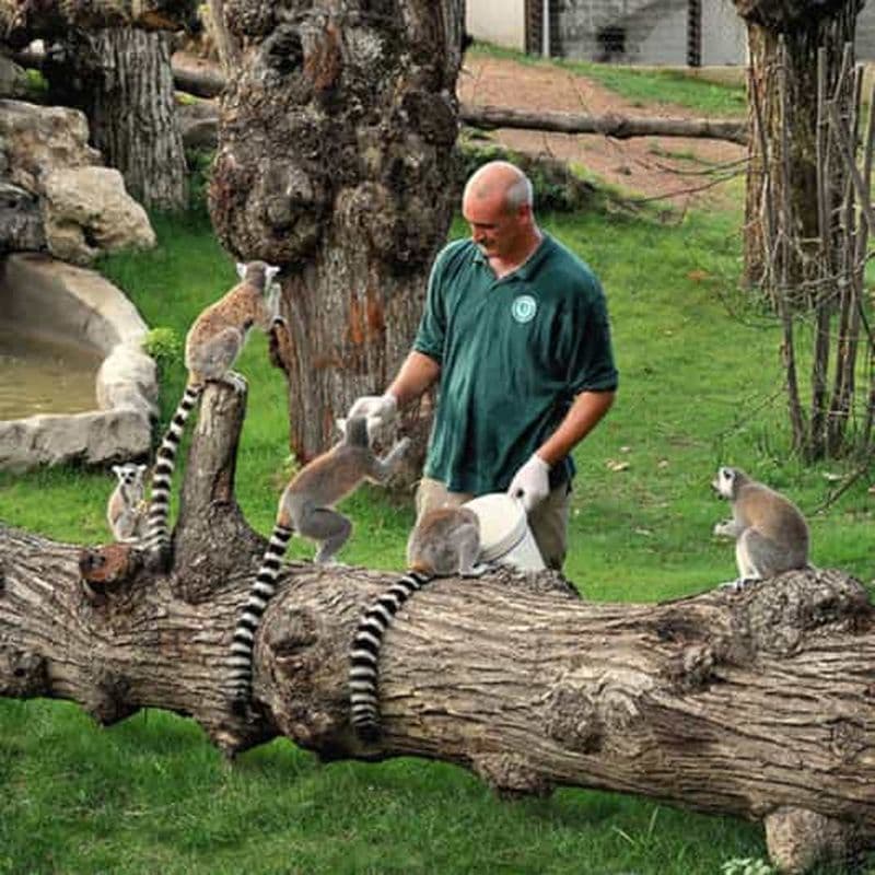 Billet Rome : billet d'entrée pour le zoo de Villa Borghese + visite en voiturette de golf