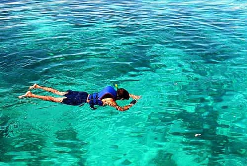 Billet Circuit dans les îles de Cebu avec déjeuner