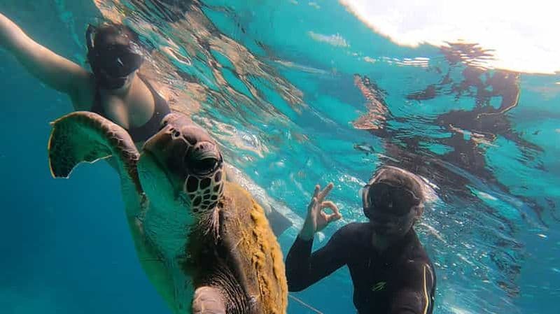 Une journée à Ilha Grande Plongée en apnée avec les tortues Privado