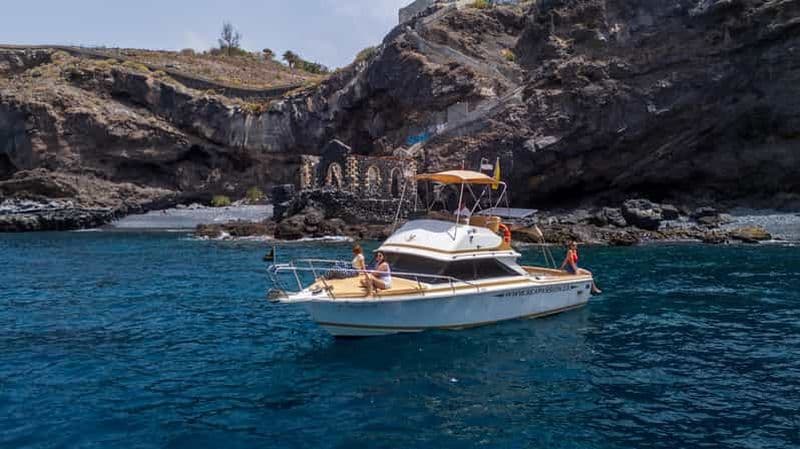 Billet Depuis la plage de San Juan : croisière pour observer la faune marine