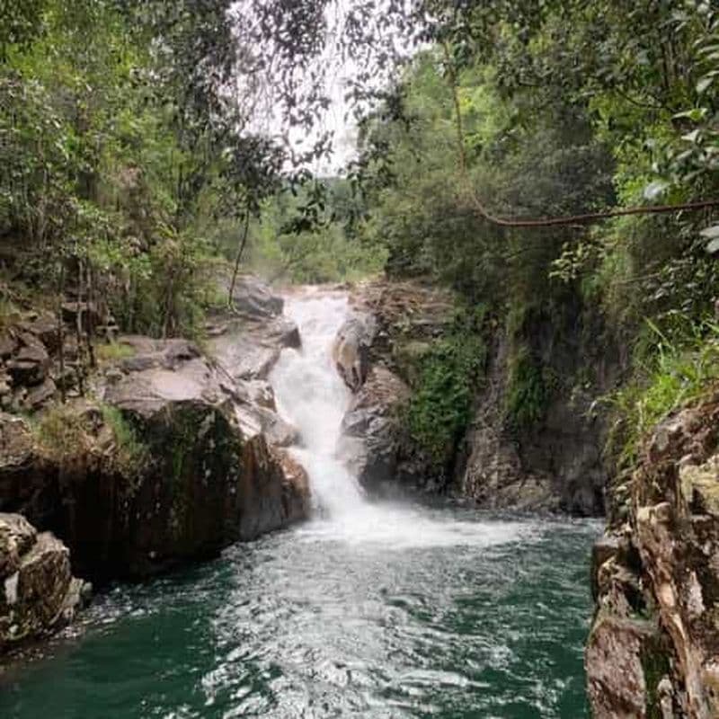 Mackay : Randonnée, baignade et aventure de l'ornithorynque dans les gorges de Finch Hatton