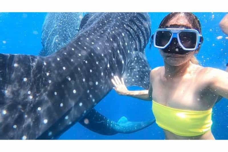 Cebu : Nage avec le requin-baleine et canyonning Kawasan en groupe