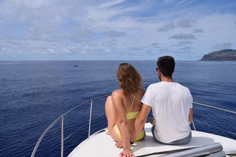 Billet Madère : Croisière d'observation des baleines et des dauphins en privé