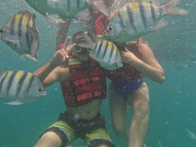 Billet Cartagena : BARÚ Playa blanca avec SNORKELING INCLUS