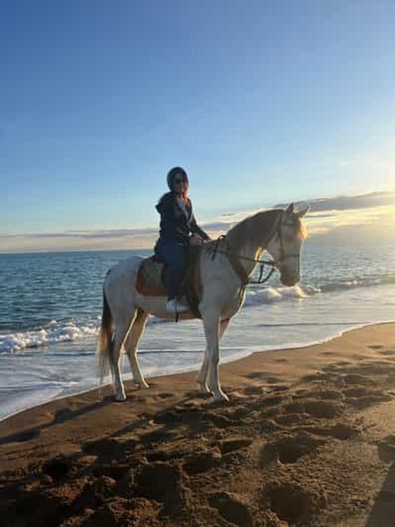 Aventure à cheval à Antalya à travers des sentiers pittoresques