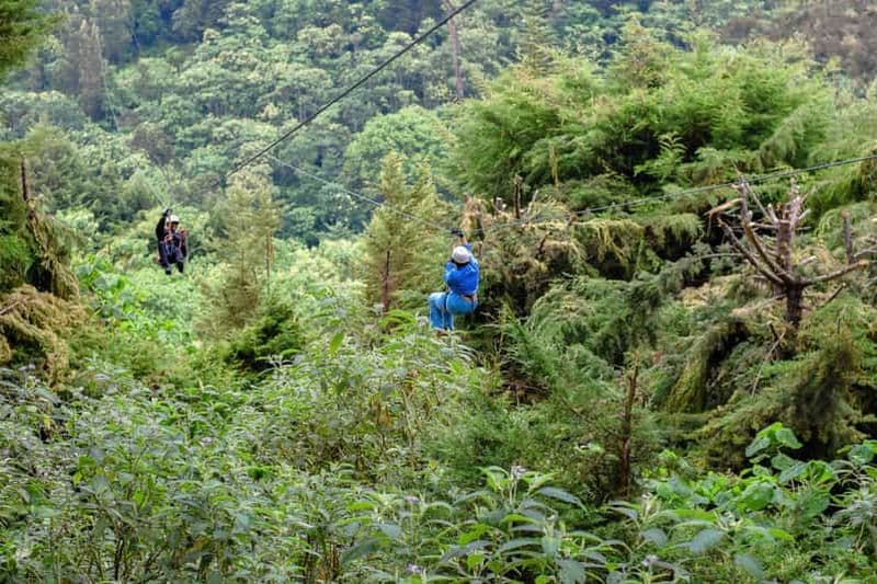 Billet Kenya : la plus longue aventure de tyrolienne d'Afrique à The Forest.