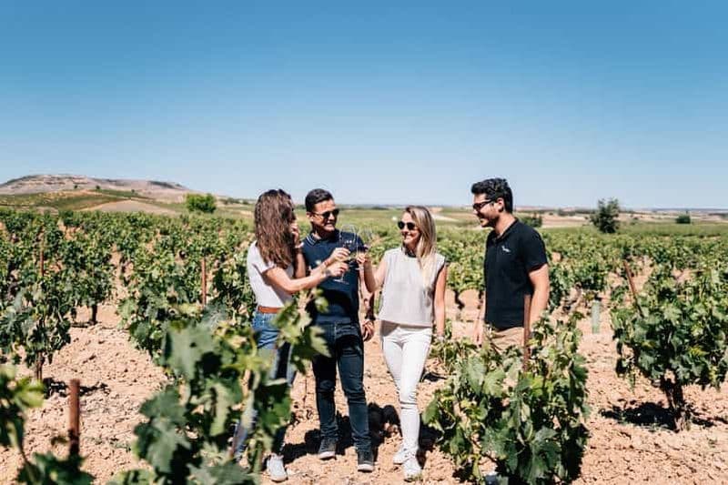 Billet Depuis Madrid : visite privative de la cave Ribera del Duero et de Ségovie