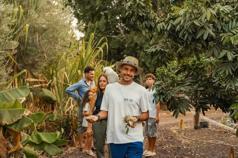 Billet Grande Canarie : Agüimes, moulin à gofio et dégustation à la ferme