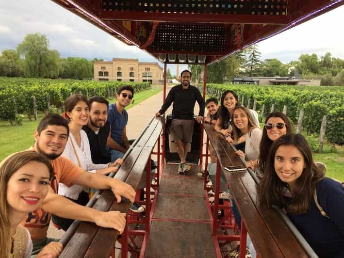 Mendoza : Visite de dégustation de vins en bicyclette avec déjeuner facultatif