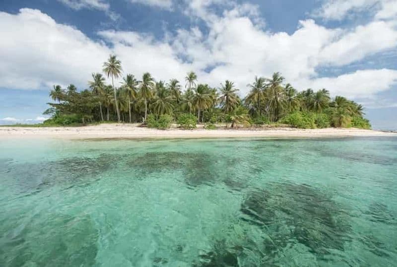 Billet Coron : excursion sur les récifs et les épaves avec équipement de plongée avec tuba