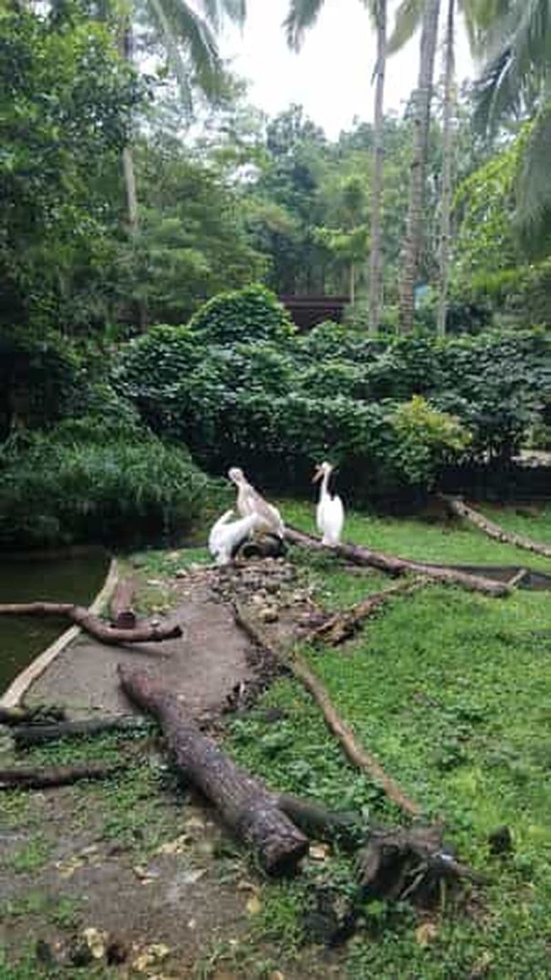 Cebu Safari & Adventure Park