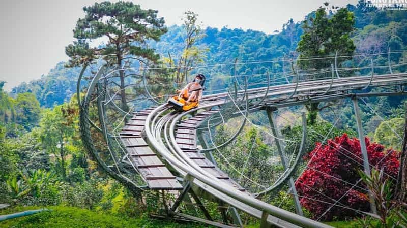 Billet Chiang Mai : Pongyang Jungle Coaster et tyrolienne