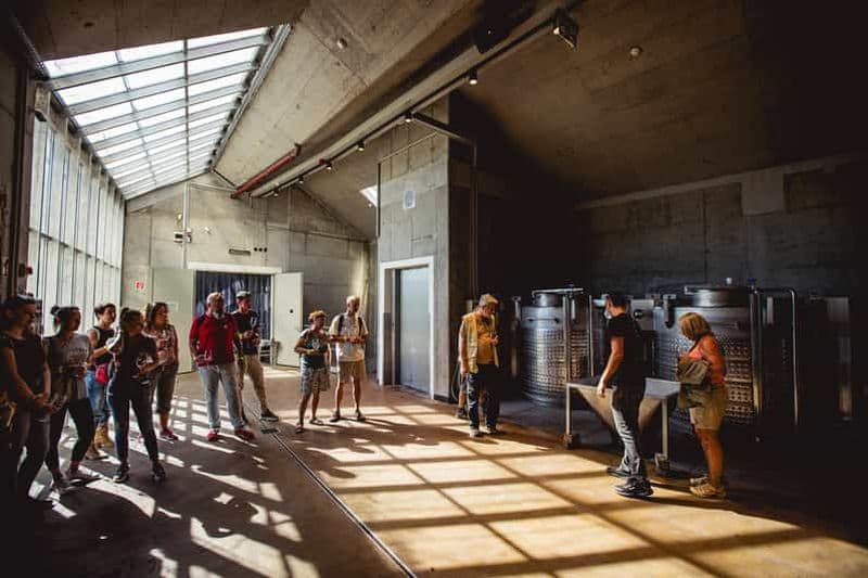 Billet Badacsonytomaj : dégustation de vin et visite du domaine de Pátzay