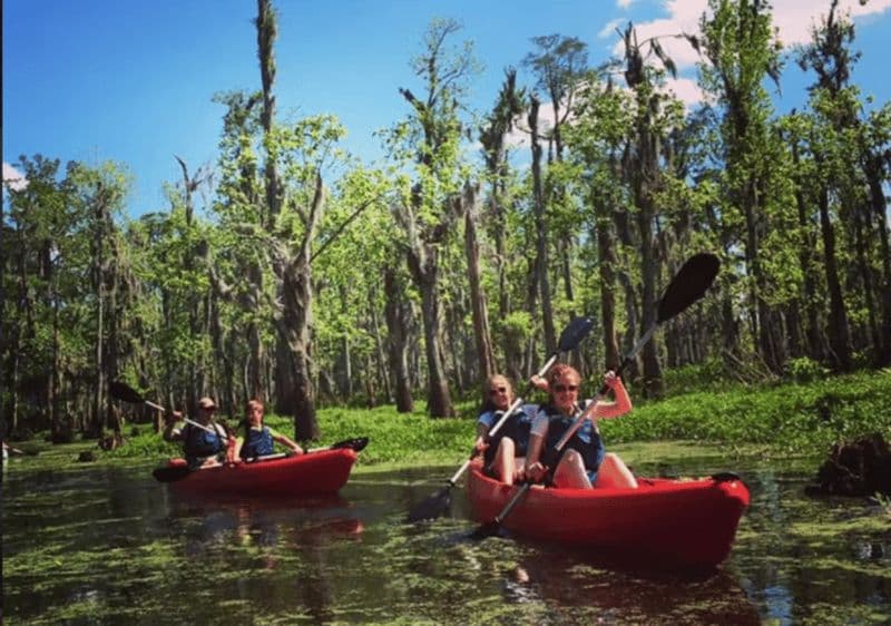 Nouvelle-Orléans : Excursion en kayak dans le marais de Manchac
