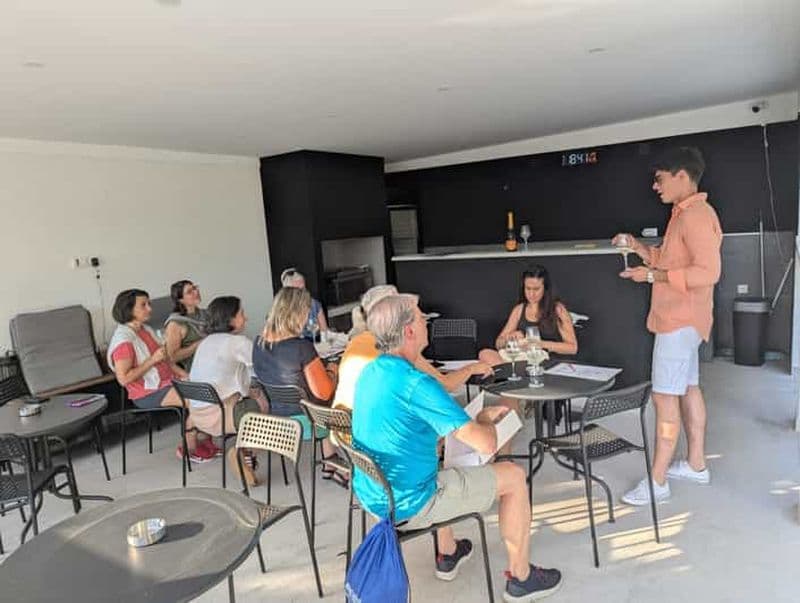 Novi Sad : dégustation de vins de Fruška Gora accompagnée de bouchées locales