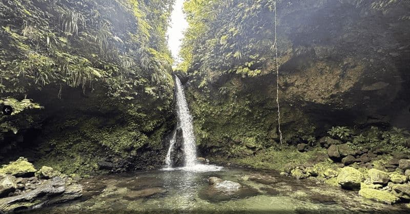 Les Cascades des Sources Chaudes de la Dominique et les Trésors des Gorges de Titou