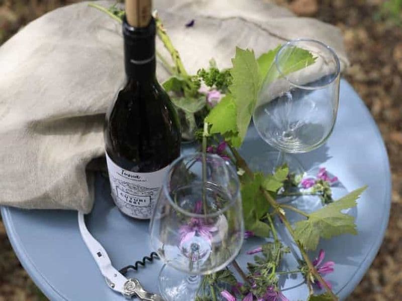 Billet Lecce : visite des vignobles de Tarente et Manduria avec dégustation de vins